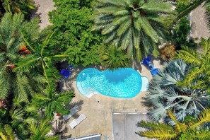 Immagine non classificata, 3 di 47, pulsante