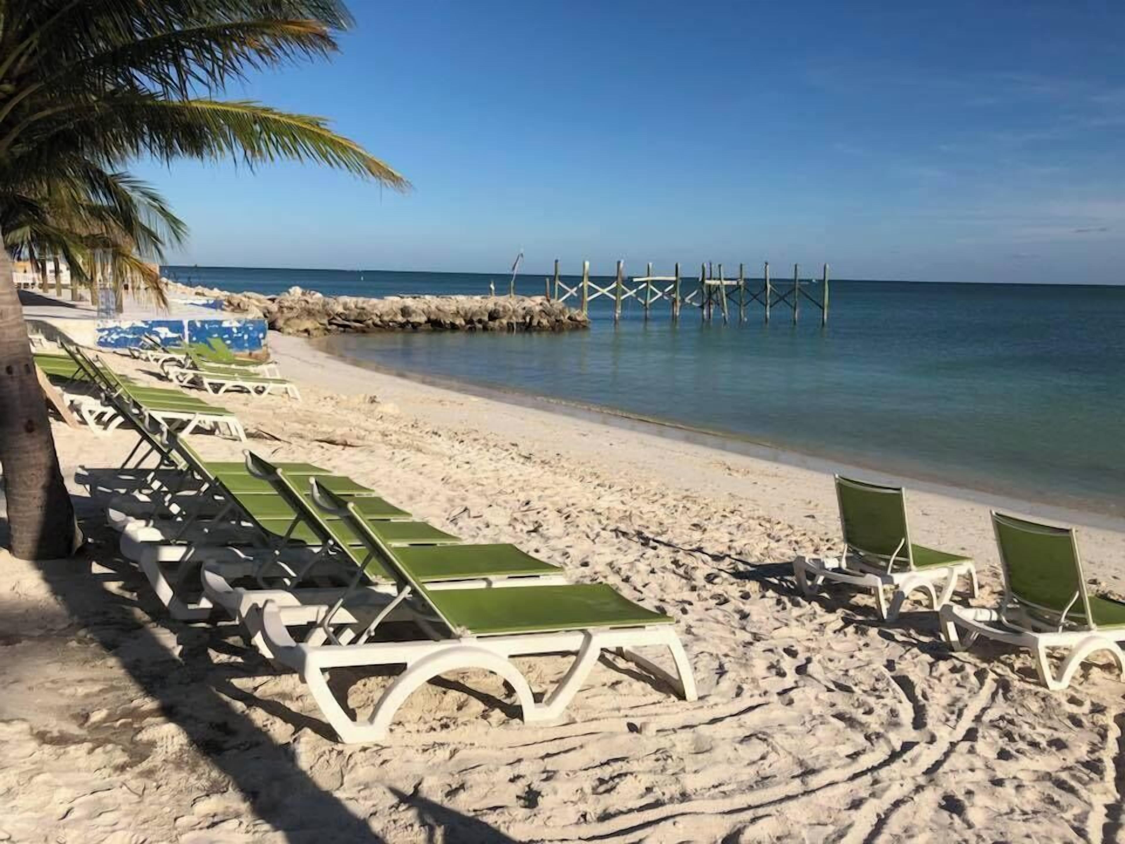 A beach with rows of green and white lounge chairs, a palm tree, and a pier extending into the water.