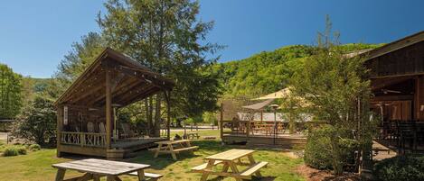 A rustic outdoor dining area with picnic tables and a wooden shelter.