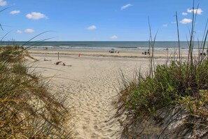 On the beach