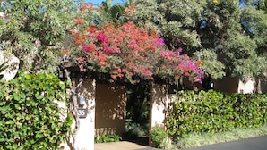 A residential area with a house number 36, surrounded by lush greenery and flowering plants. - Ekahi 36a, 1BR 2BA condo, Sleeps 4 (2 Adults + 2 Kids) (Wailea-Makena)