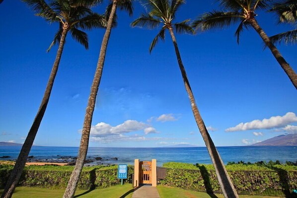 A pathway leading to a building with a view of the ocean and palm trees. - Ekahi 36a, 1BR 2BA condo, Sleeps 4 (2 Adults + 2 Kids) (Wailea-Makena)