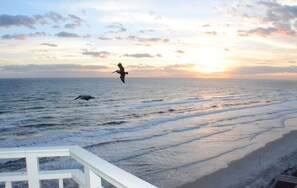 On the beach, beach towels - Updated Direct Oceanfront - 3 bedroom #1007; Beach Access and Heated Pool (Daytona Beach Shores)
