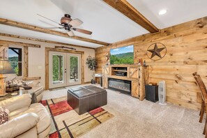 TV, fireplace, books