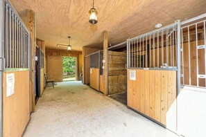 Property grounds - Mountain Cabin, Screen Porch, Hot Tub, Jacuzzi Tub, WiFi (Ferguson)