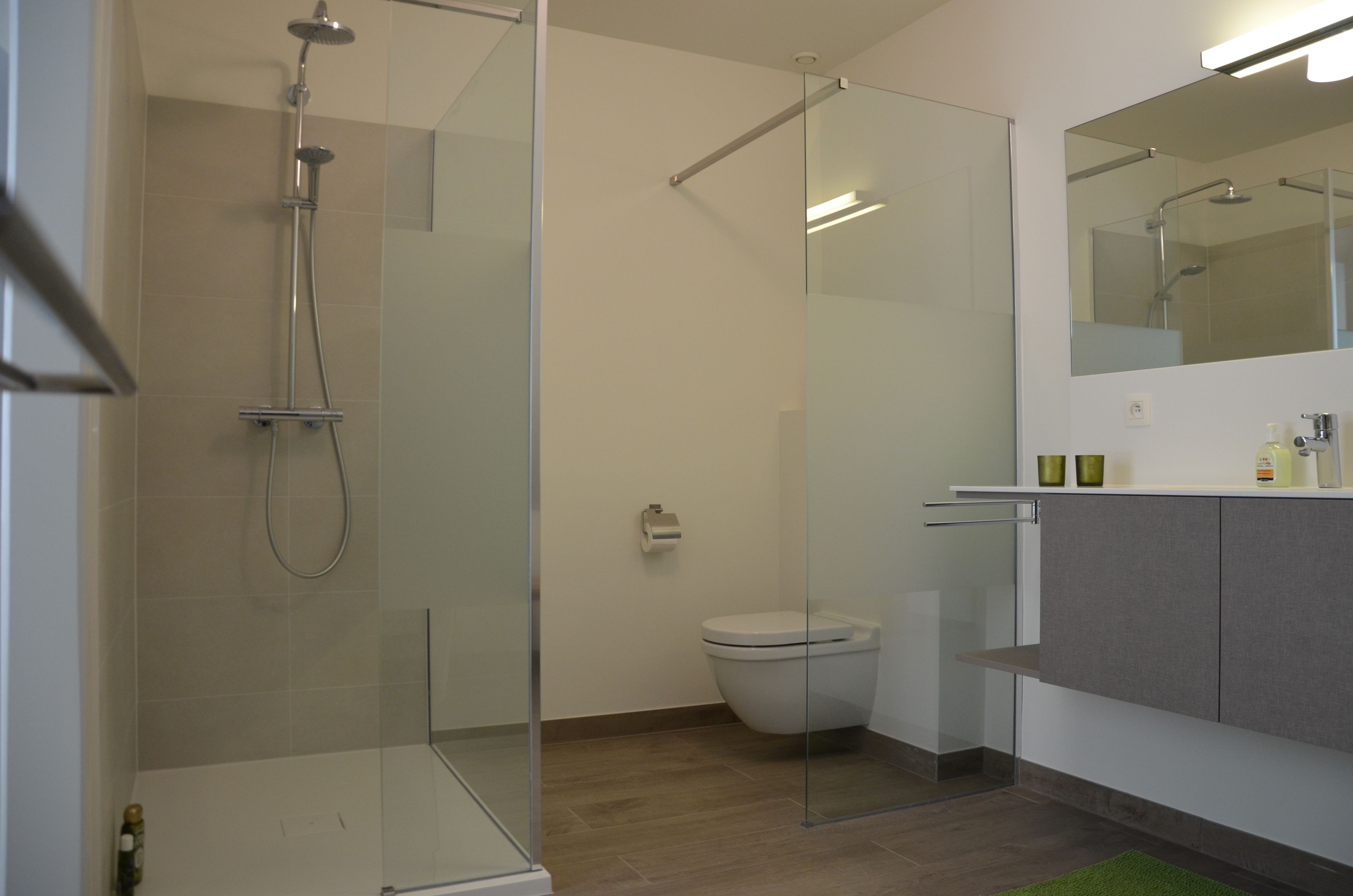 Een moderne badkamer met een douchecabine van glas, een toilet en een wastafel met spiegel.