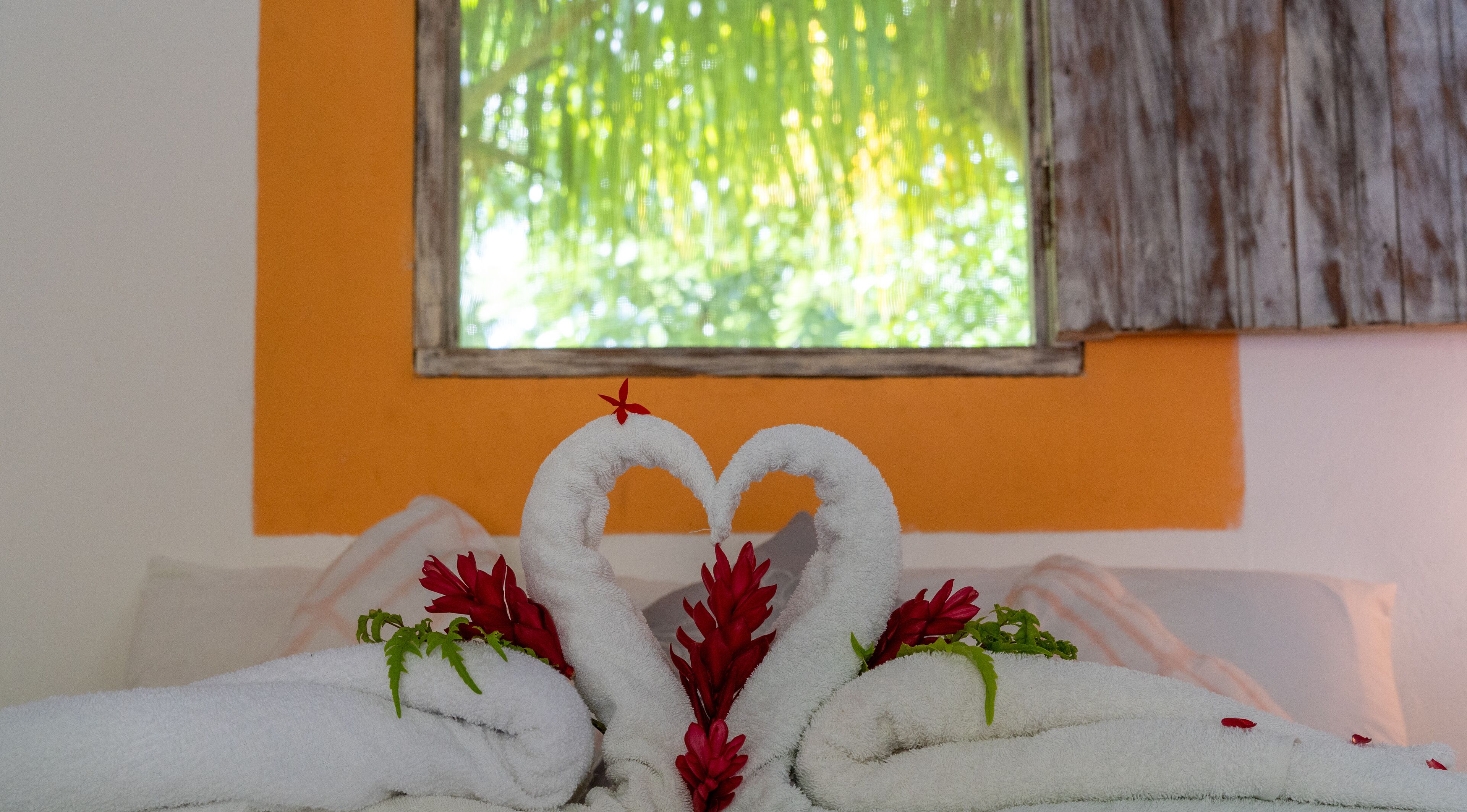 A hotel room with a bed, a window with a view of greenery, and a towel arrangement in the shape of a heart with red flowers.