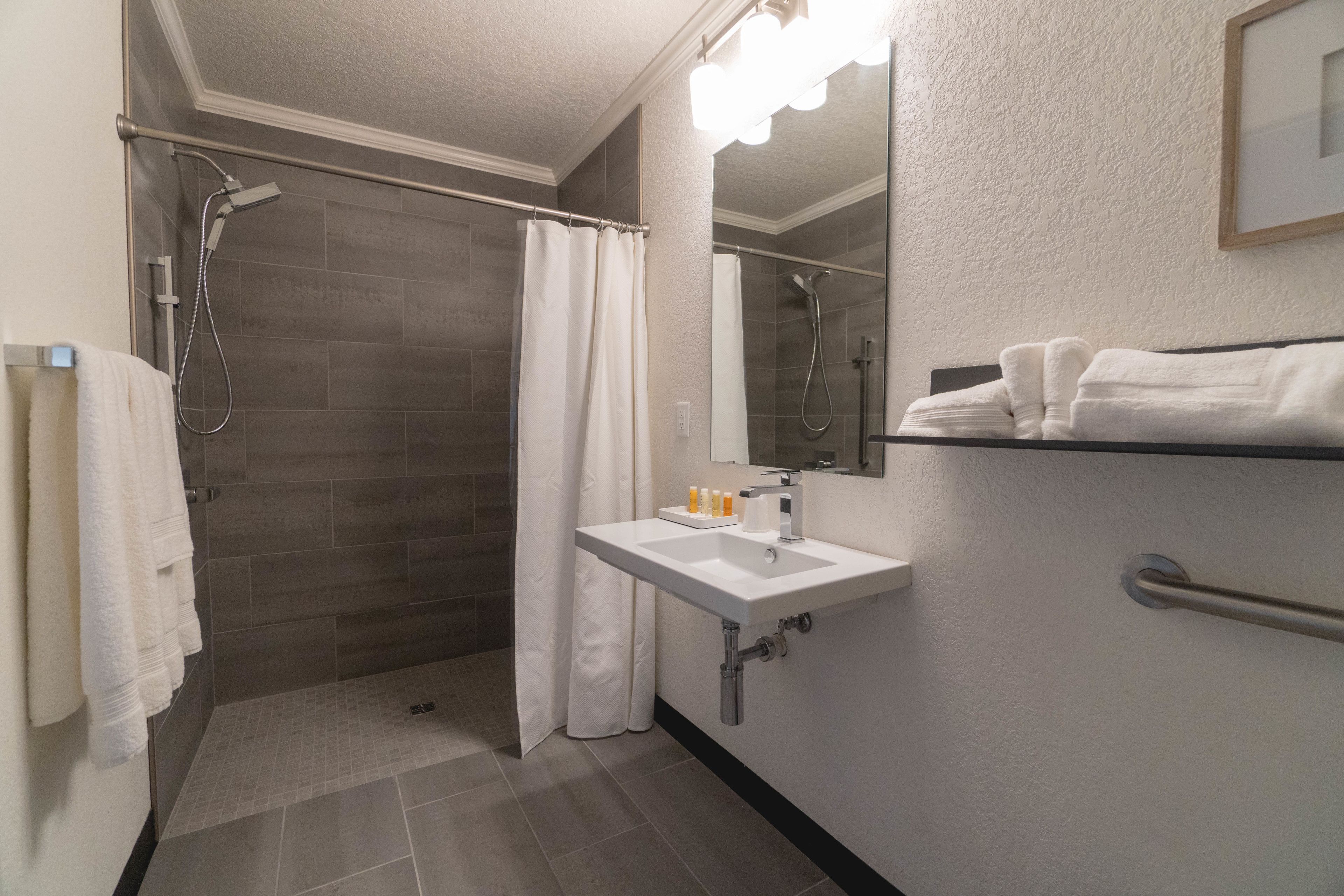 studio, 1 king bed, accessible, lake view | bathroom | shower, free toiletries, towels