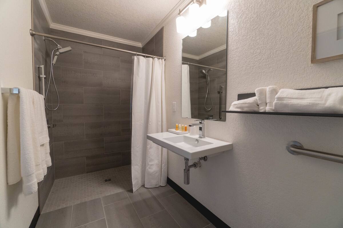 studio, 1 king bed, accessible, lake view | bathroom | shower, free toiletries, towels
