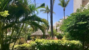 Garden - Condo Playa E (Mazatlán)