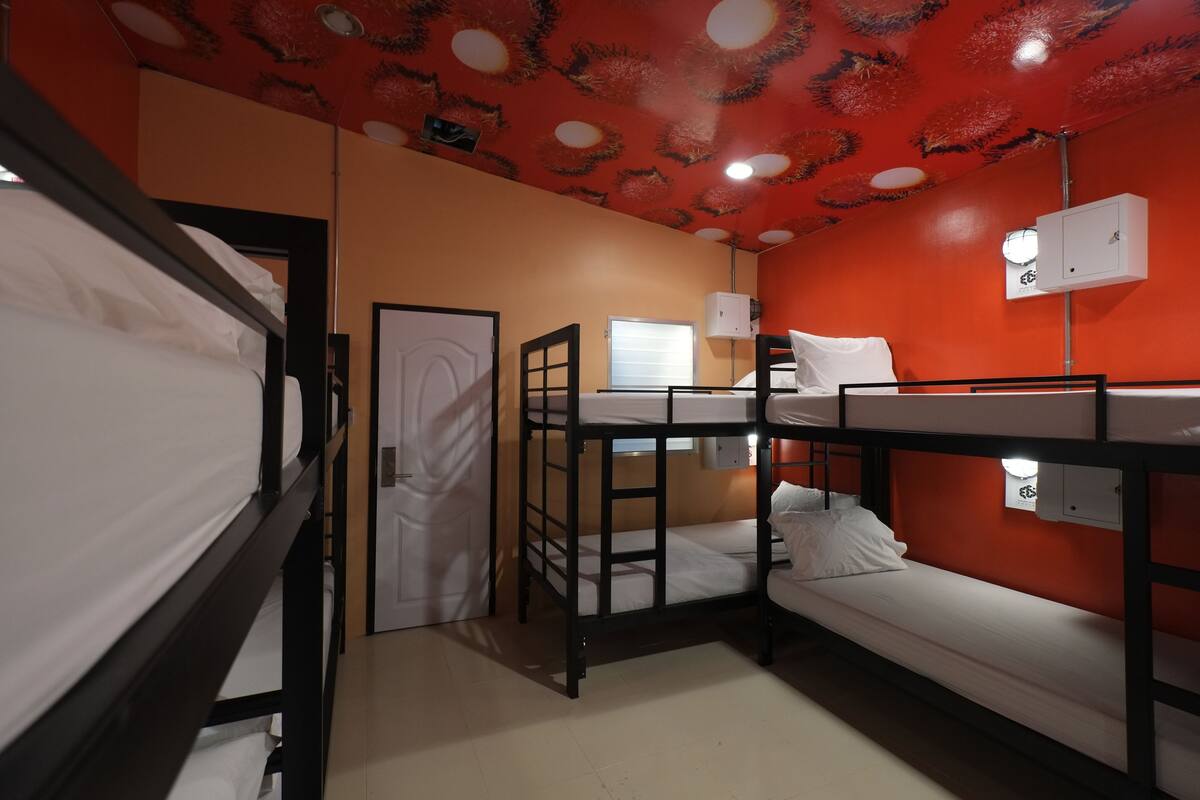 Une chambre avec un lit superposé, un plafond rouge, une porte et une fenêtre.
