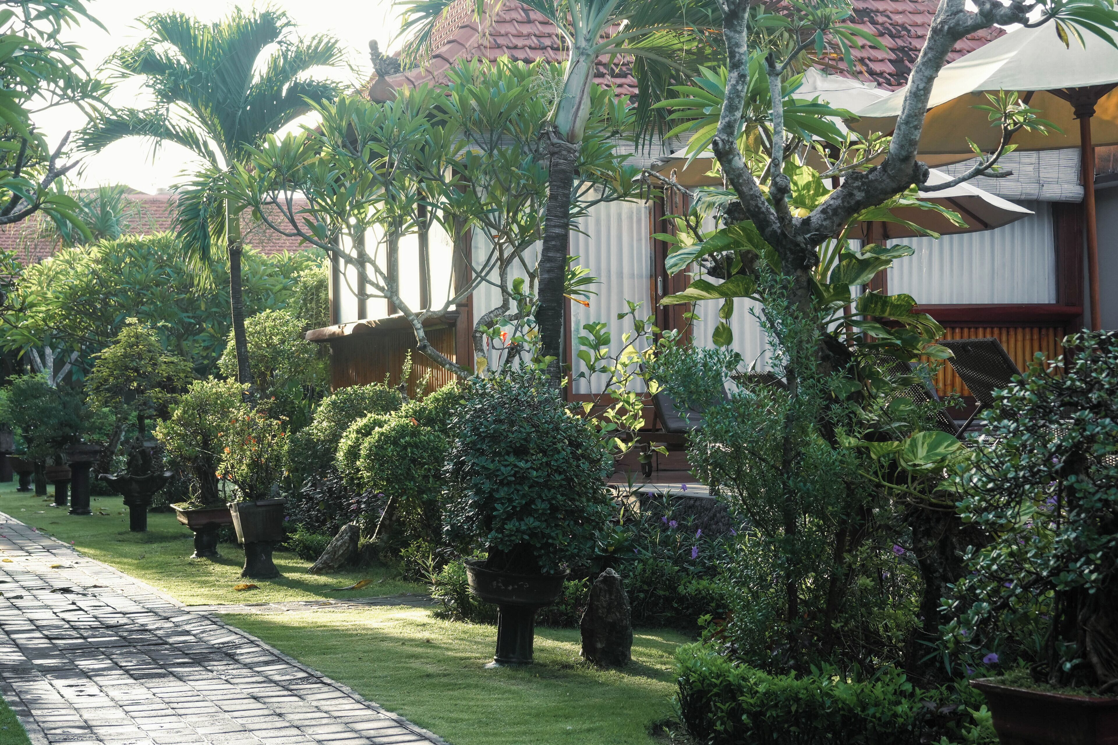 Foto - Hotel Arsa Santhi Nusa Penida