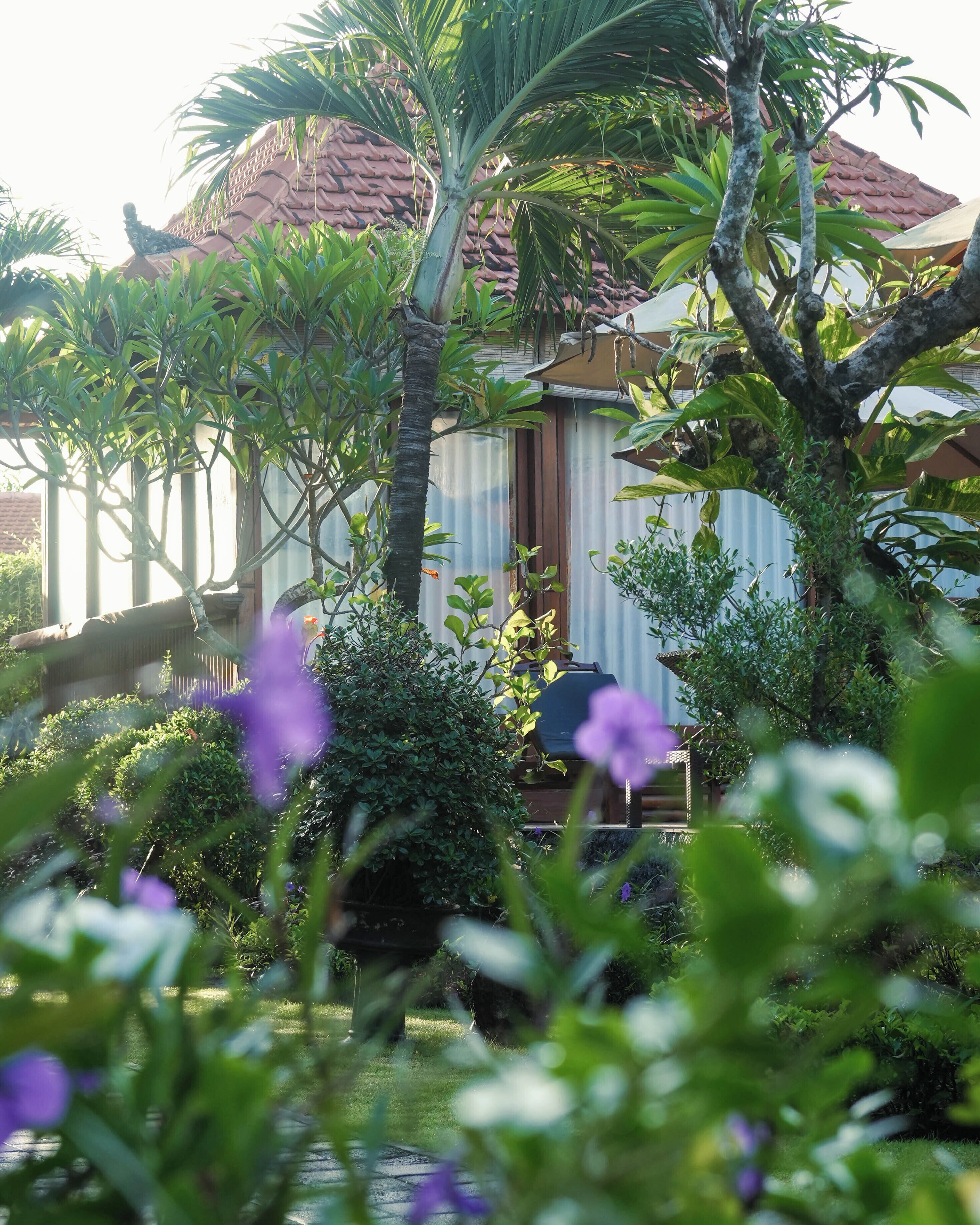 Foto - Hotel Arsa Santhi Nusa Penida