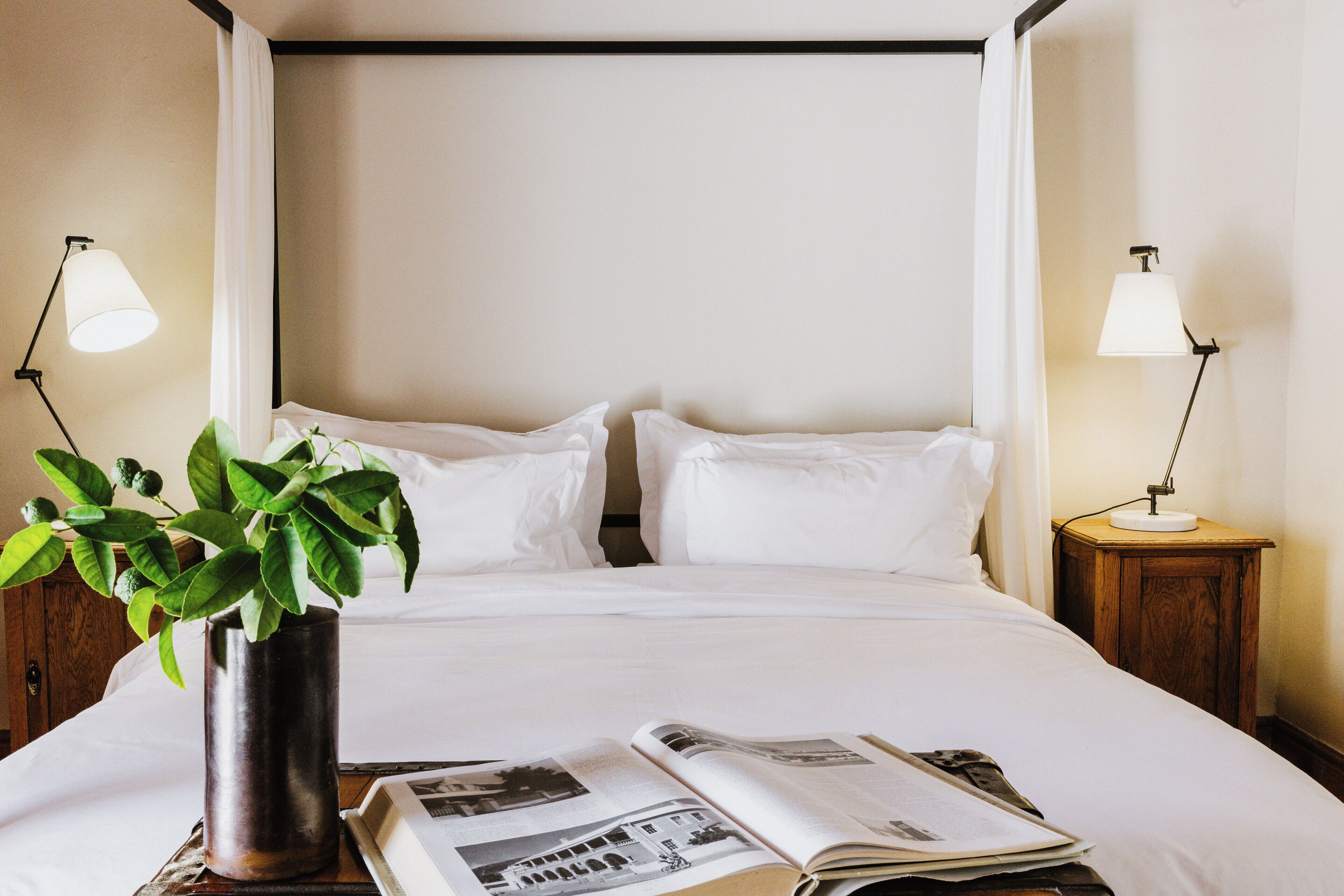 A neatly made bed with white linens, a potted plant on the left side, and a magazine on the right. There are two bedside lamps on wooden nightstands.