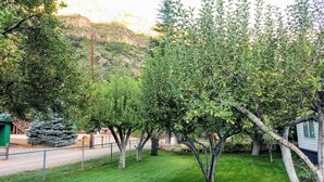 Et aflukket udendørsareal med træer og græsplæne.