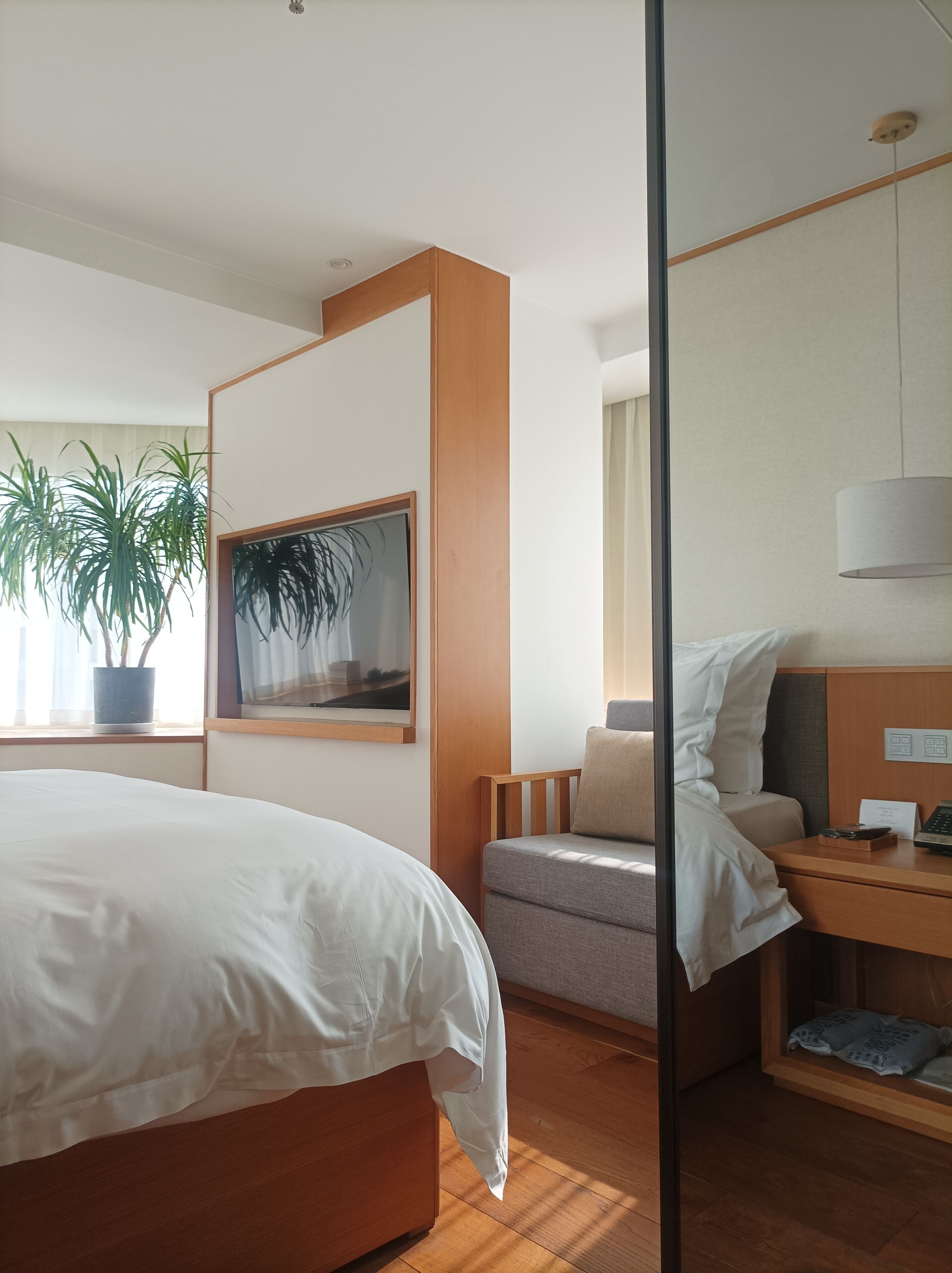 A modern hotel room with a large bed, a desk, a chair, and a potted plant.