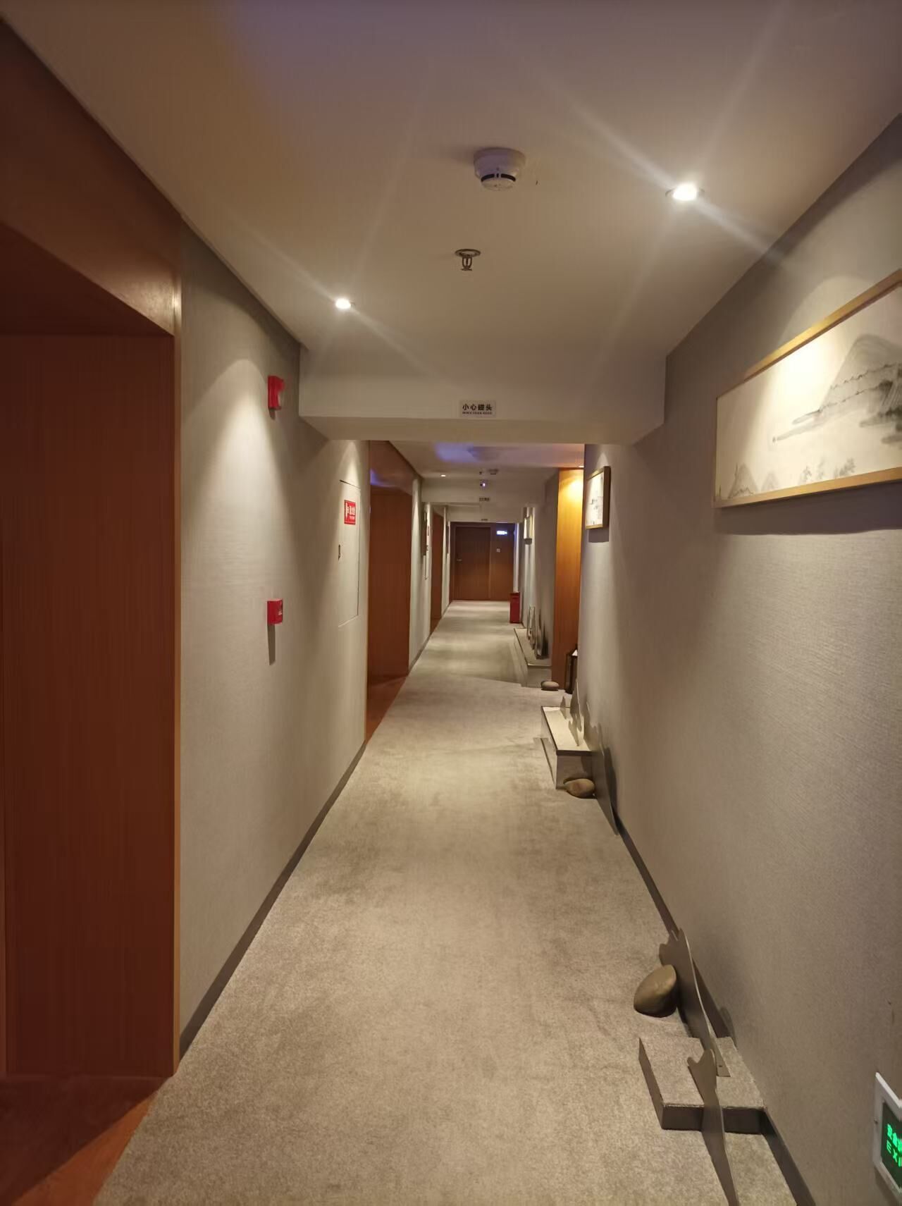 A hotel corridor with a carpeted floor, wooden doors, and a fire alarm on the left wall.