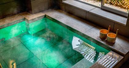 Super Hotel Premier Musashi Kosugi Ekimae