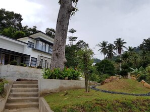 Área da propriedade