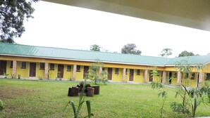 A building with a green roof and yellow walls, surrounded by a grassy courtyard with young plants. - Café Zambezi House of Africa - Hostel (Livingstone)