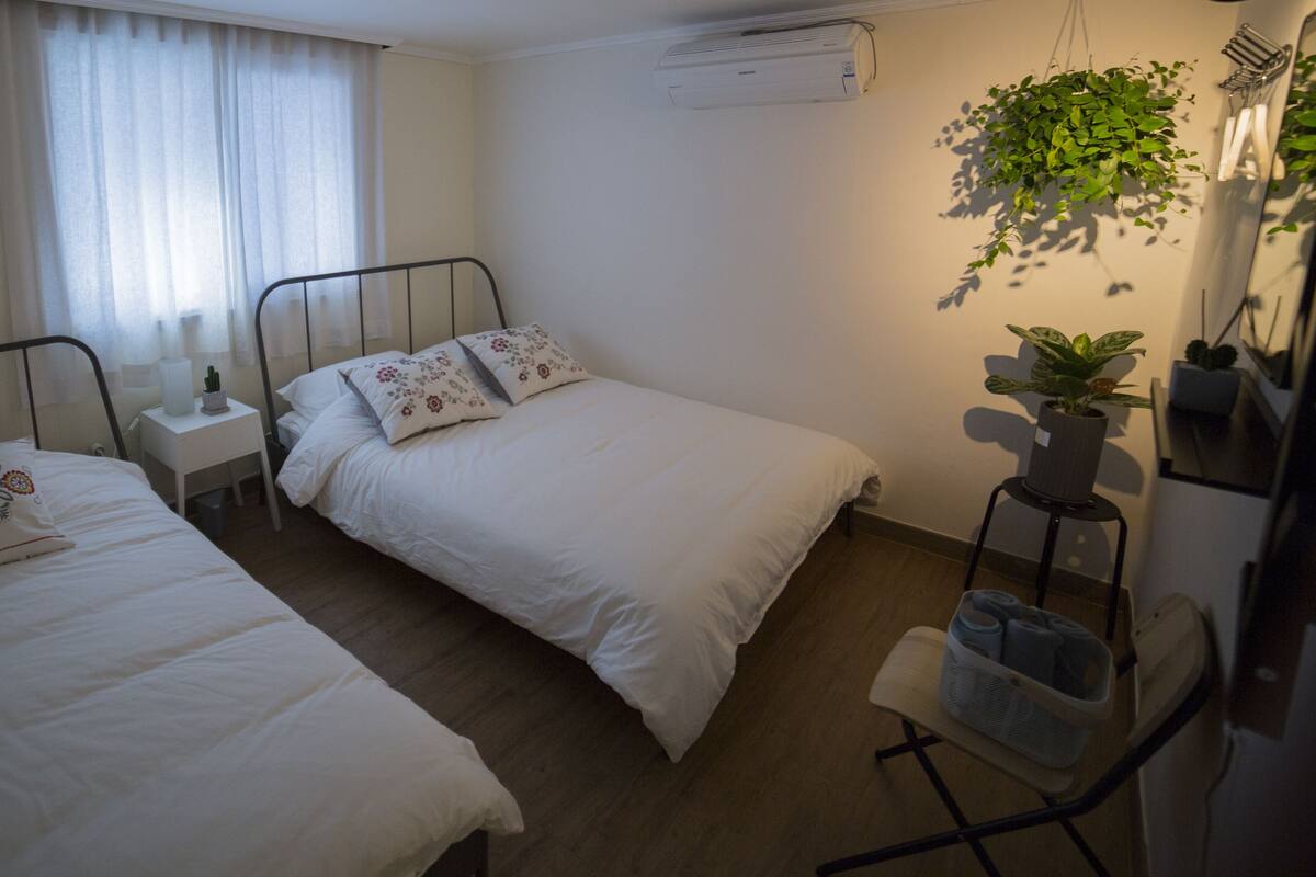 A bedroom with two single beds, a bedside table with a lamp, a potted plant, and a mirror.
