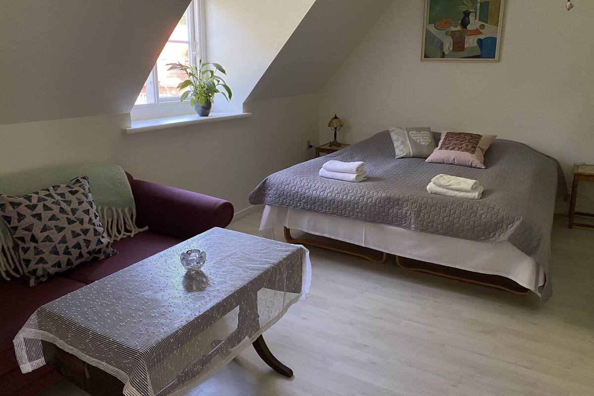 Hypo-allergenic bedding, free WiFi, bed sheets