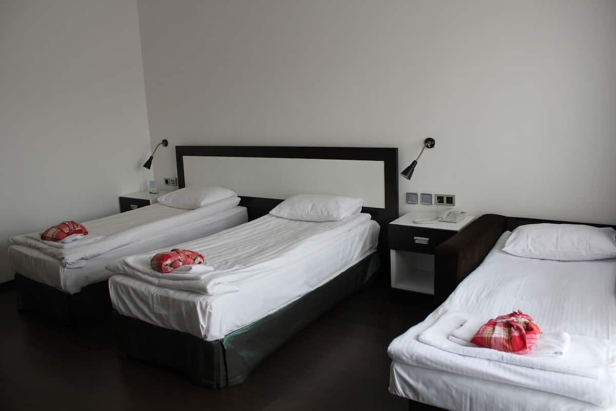 Standard Triple Room | Minibar, in-room safe, desk, soundproofing