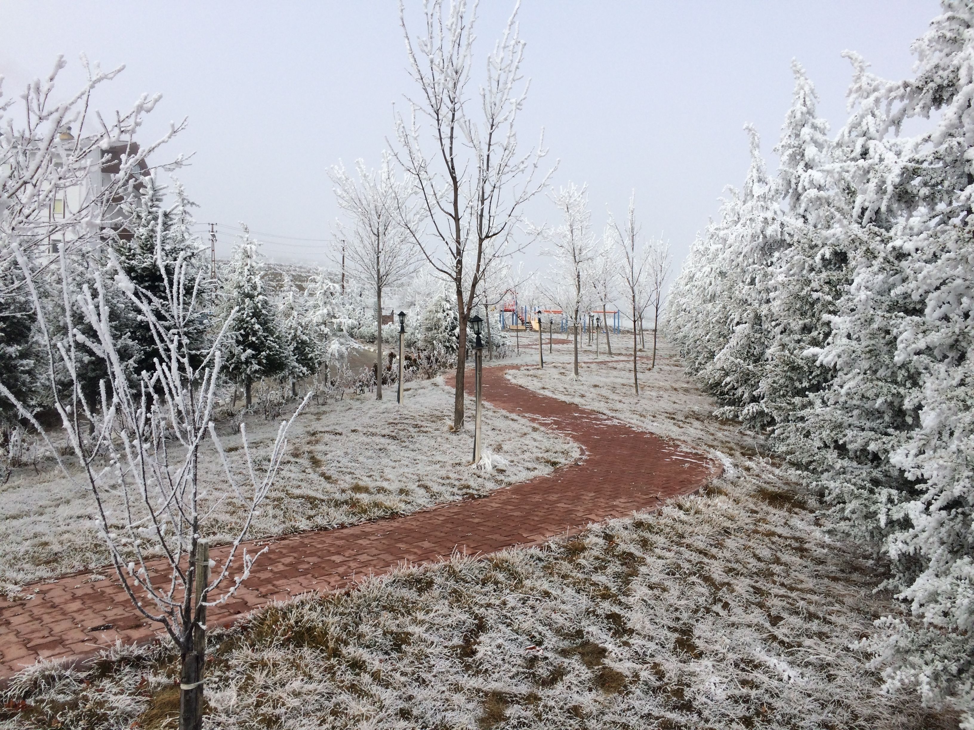 A snow-covered pathway in a park with bare trees and a brick walkway.