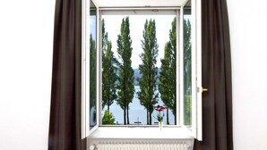 Una ventana con vista a altos árboles y una masa de agua.
