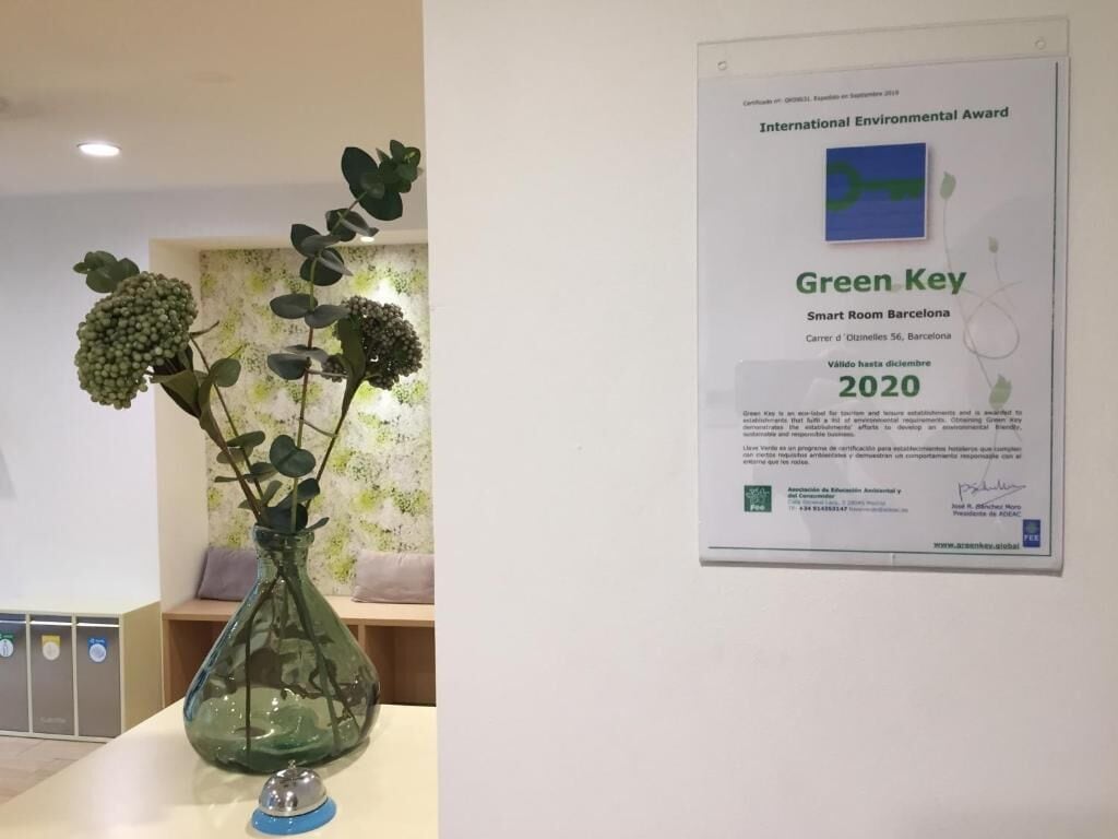 Een Green Key keurmerkcertificaat aan een muur, een groene vaas met planten op een toonbank en een behang met patroon op de achtergrond.