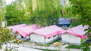 Eine Reihe von Zelten mit rosa Planen in einer natürlichen Umgebung, mit Bäumen und Bergen im Hintergrund.