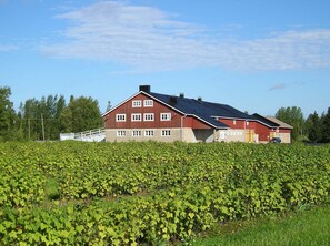 Overnattingsstedets uteområder