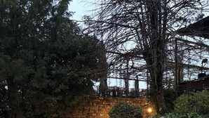 Un sendero de grava conduce a una escalera de piedra con barandilla de metal, rodeado de árboles y vegetación.