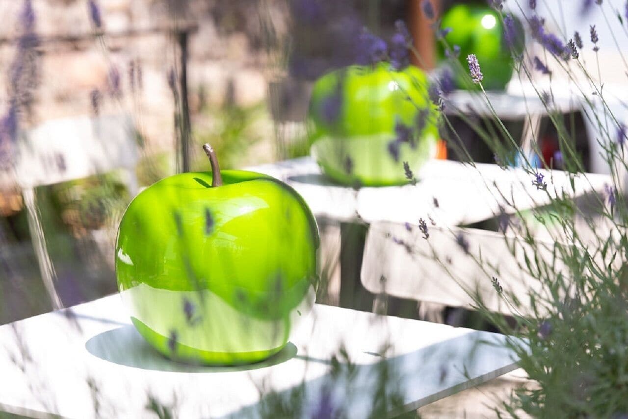 Photo - Le Funi Hotel