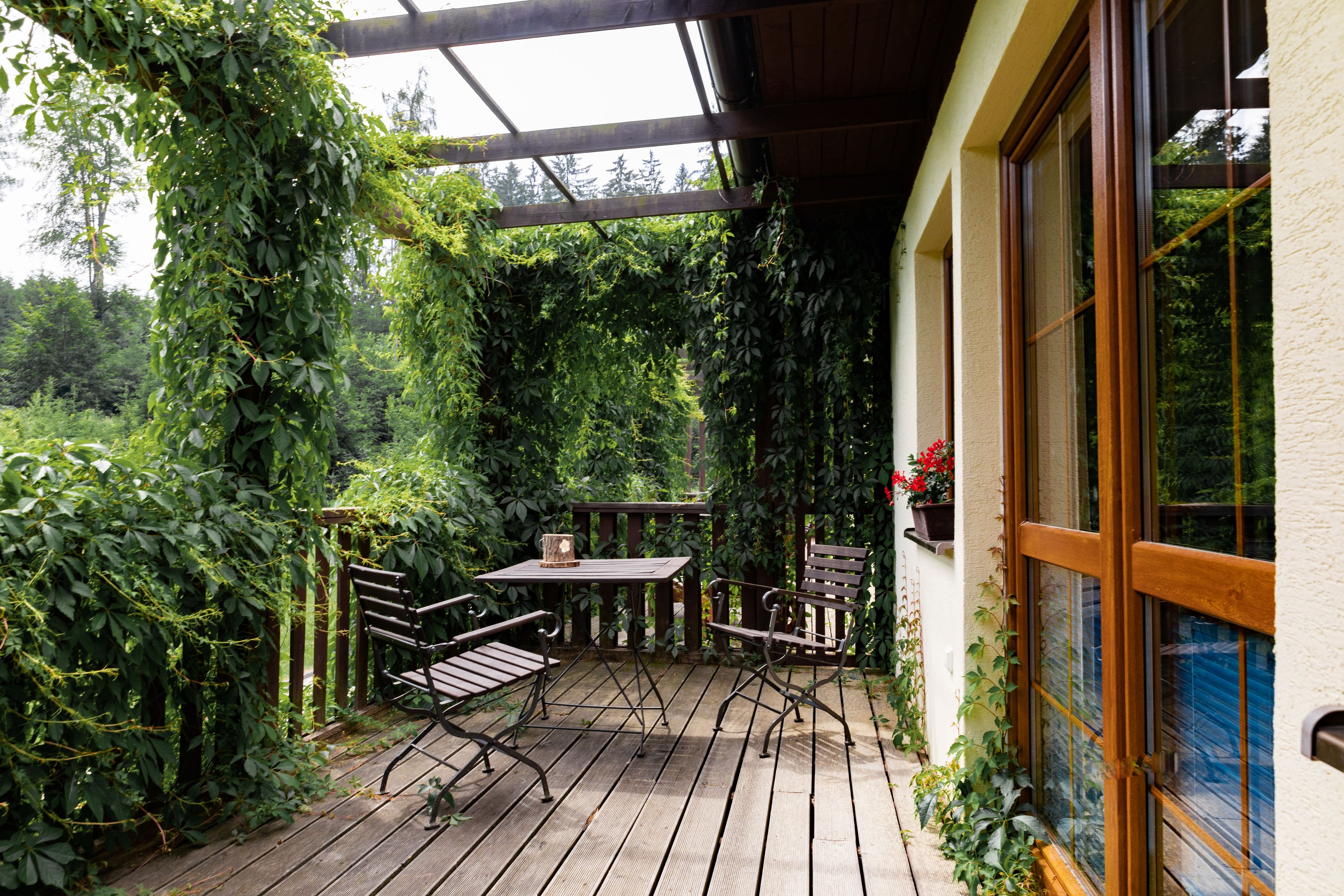 Suite Confort, 1 habitación, en el área del jardín | Terraza o patio