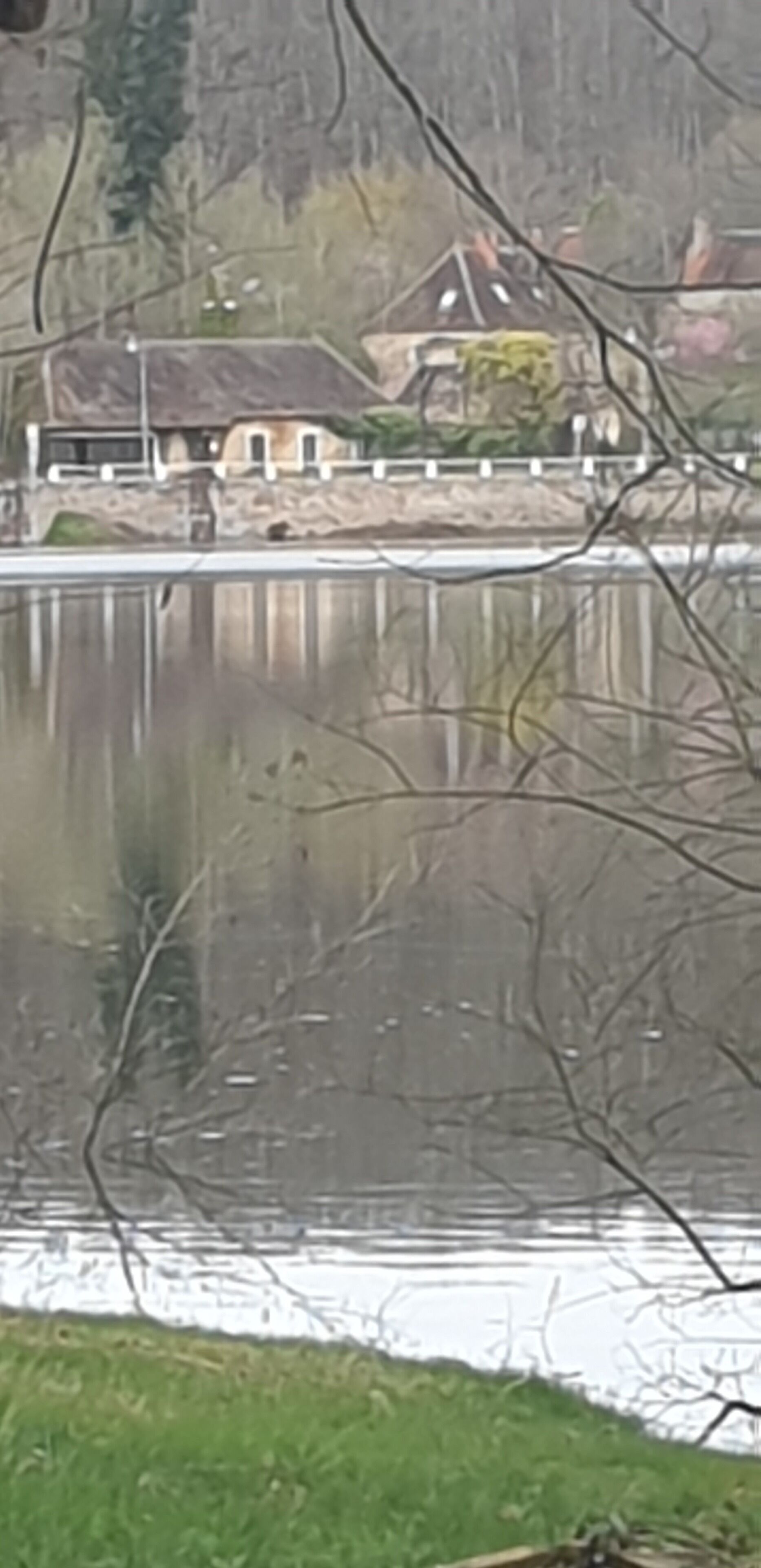 A lake with houses in the background.