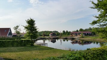 Vista desde la propiedad