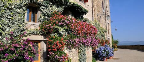 A stone building with ivy and colorful flowers, a wooden door, and a clear sky.