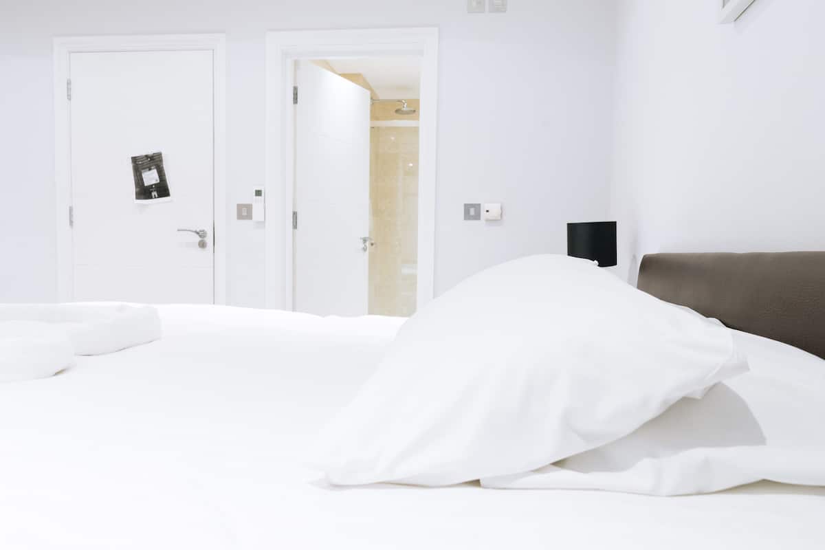 Basic Studio, 1 Double Bed