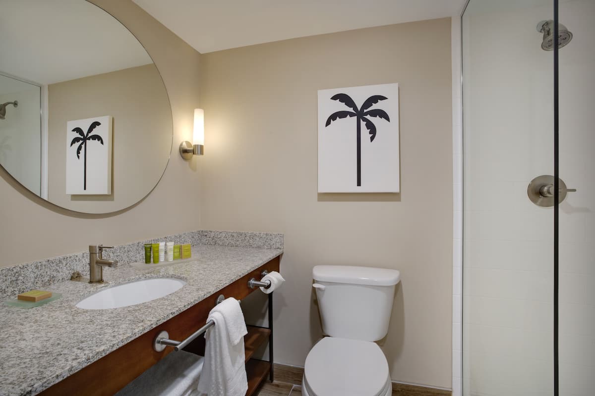 free toiletries, hair dryer, towels, soap