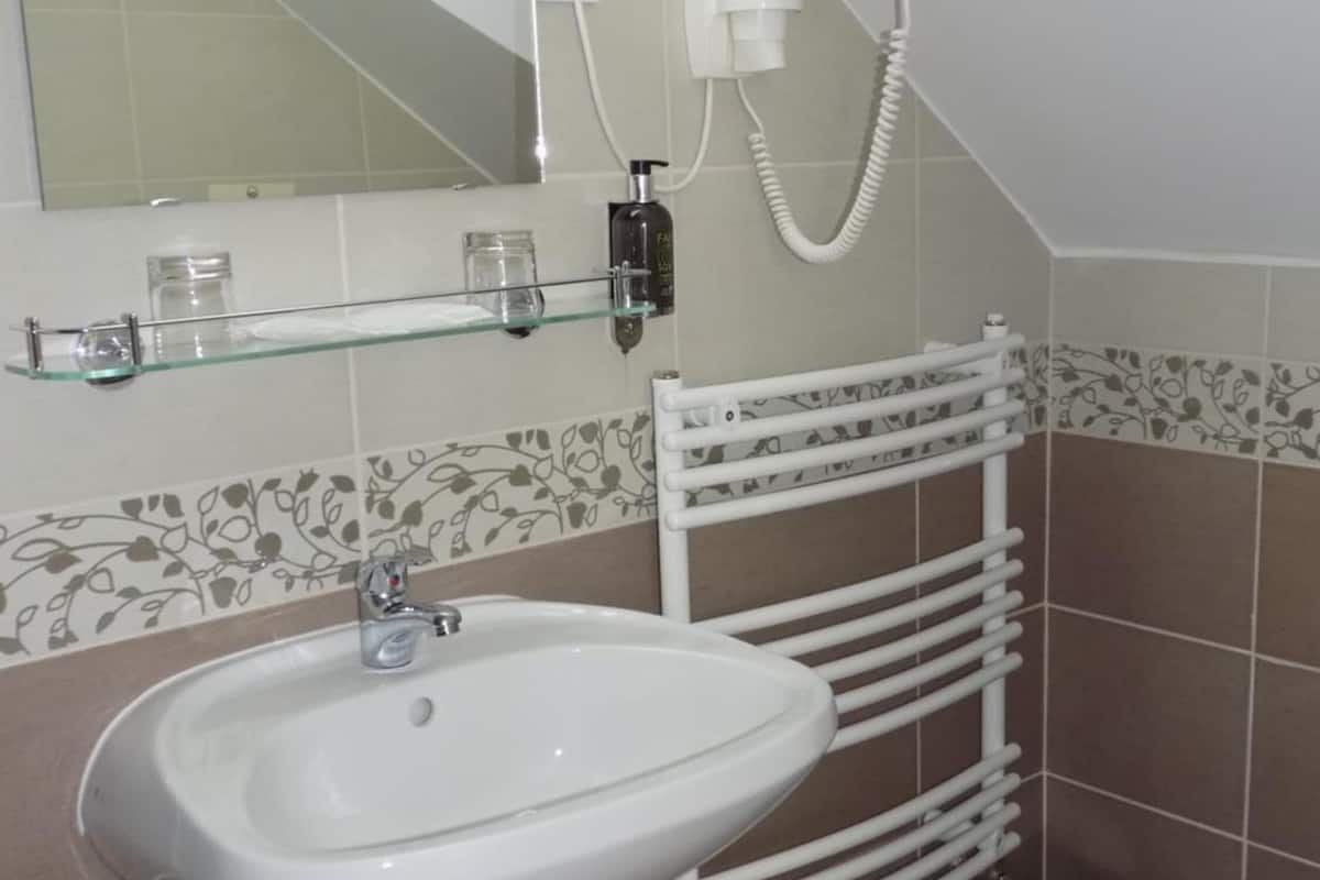 shower, free toiletries, hair dryer, towels