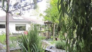 A garden with a pathway, a small pond, and a house in the background. - Le Jardin de la Tuilerie (Pfastatt)
