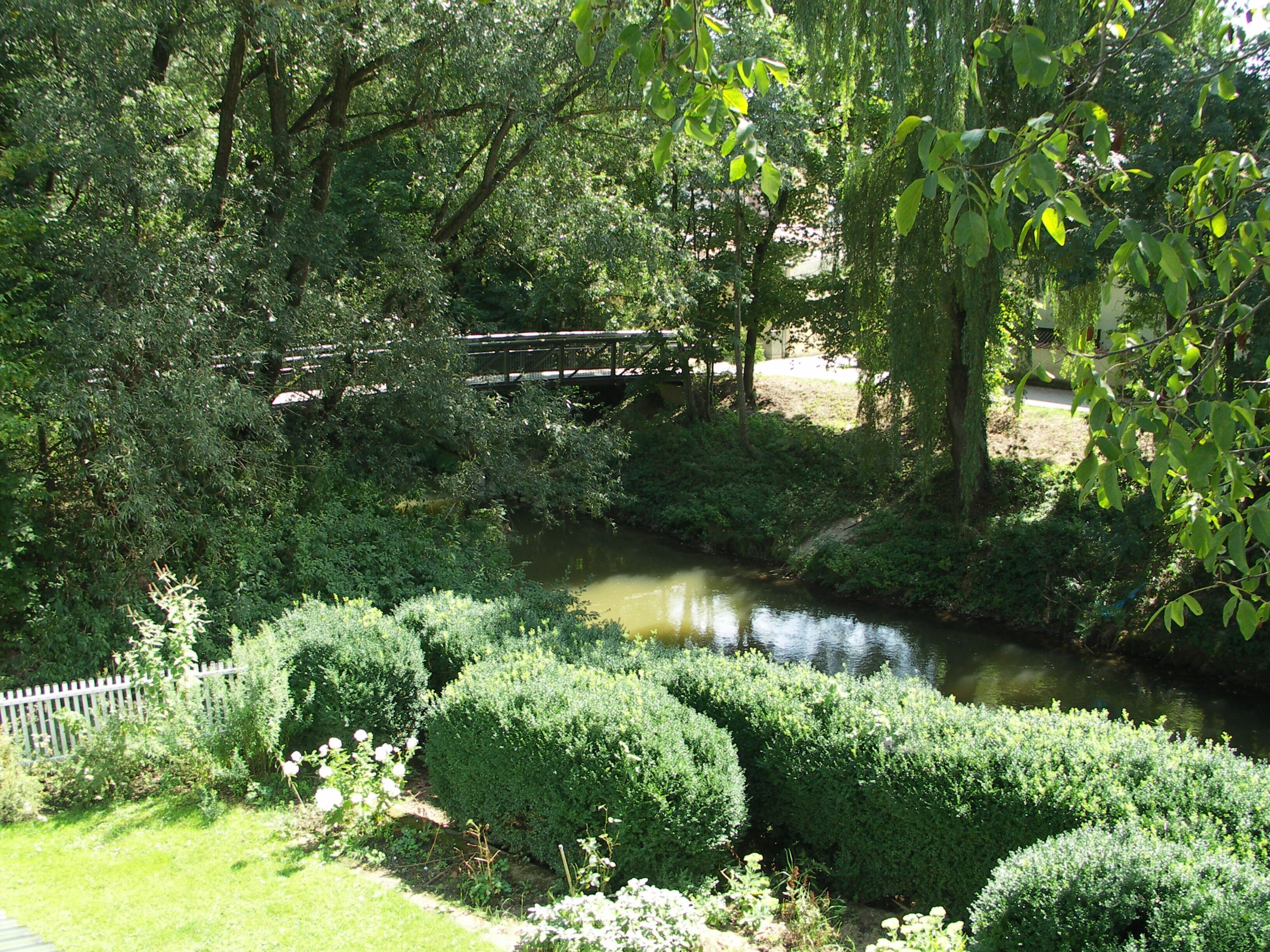 Un jardín tranquilo con un pequeño puente sobre un arroyo, rodeado de abundante vegetación y arbustos cuidados.