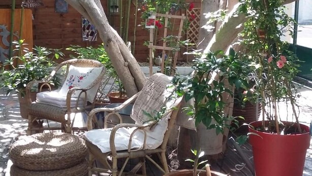 A patio area with wicker furniture, potted plants, and a wooden fence in the background. - Cielito Lindo (Montpellier)