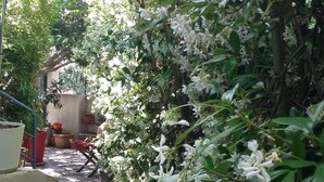 A garden pathway surrounded by lush greenery and white flowers, leading to a building with a red roof. - Cielito Lindo (Montpellier)
