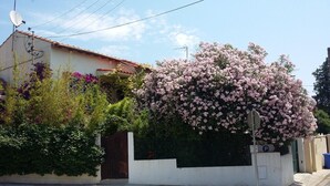 A residential house with a satellite dish, a large flowering tree, and a gated entrance. - Cielito Lindo (Montpellier)