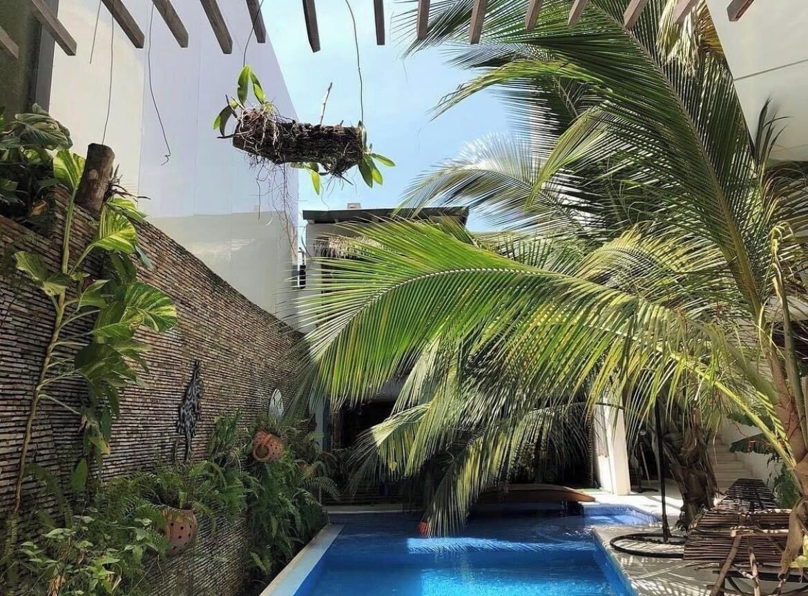 Zona de piscina con vista despejada, rodeada de exuberante vegetación y palmeras.