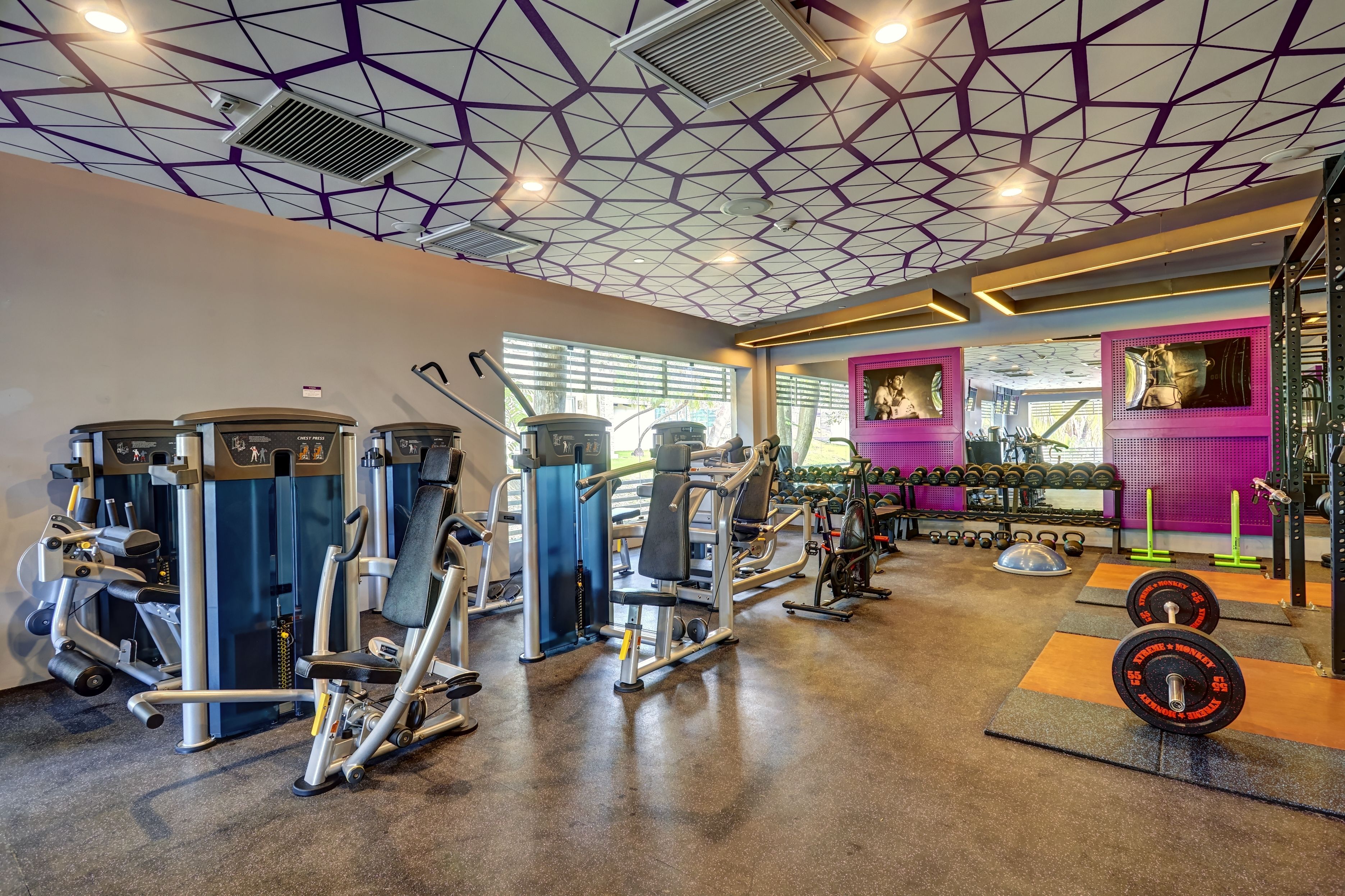 Un gimnasio con diversas máquinas de ejercicio, equipo de levantamiento de pesas y una pared morada con obras de arte.