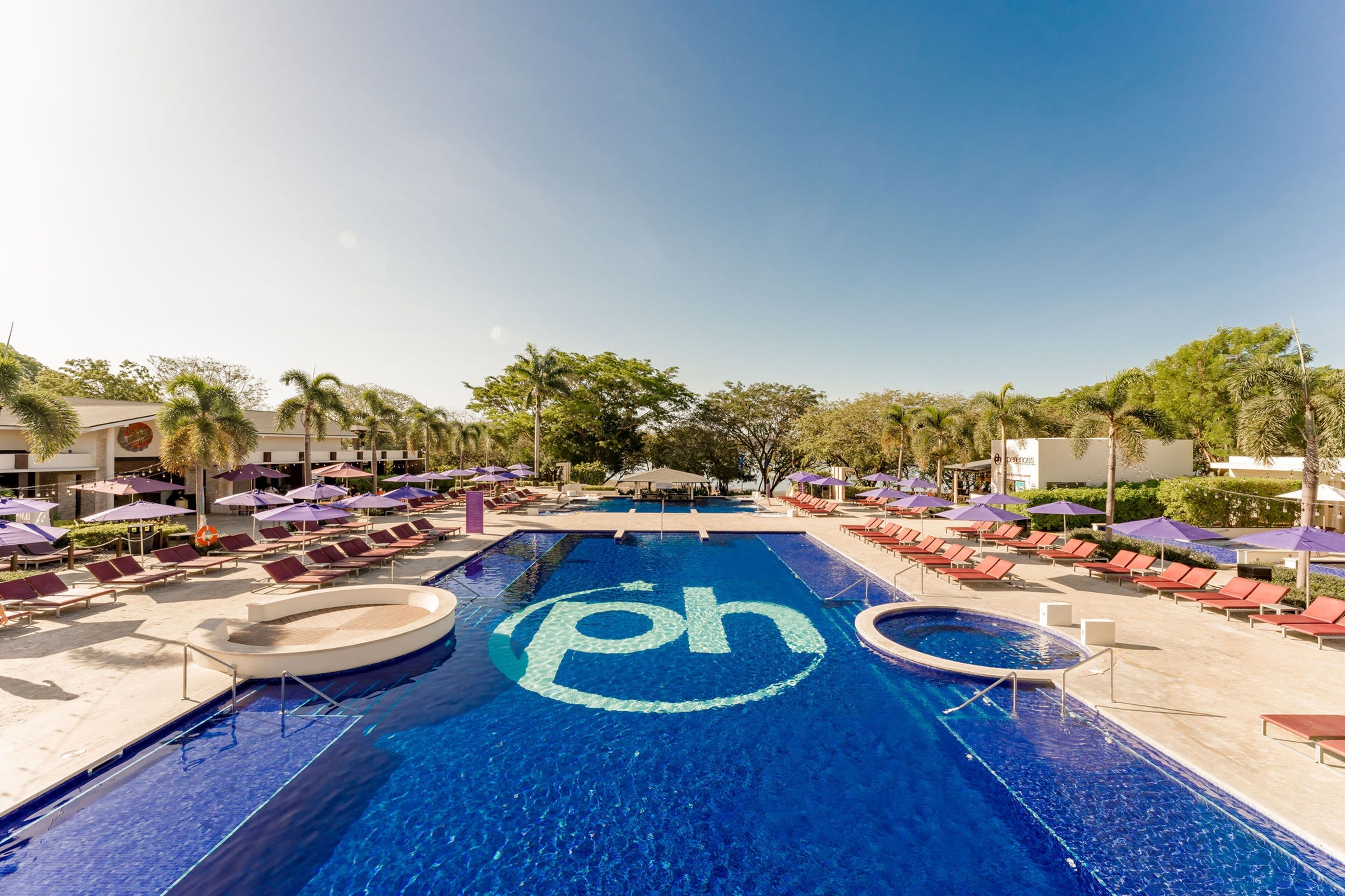 Outdoor pool, pool loungers