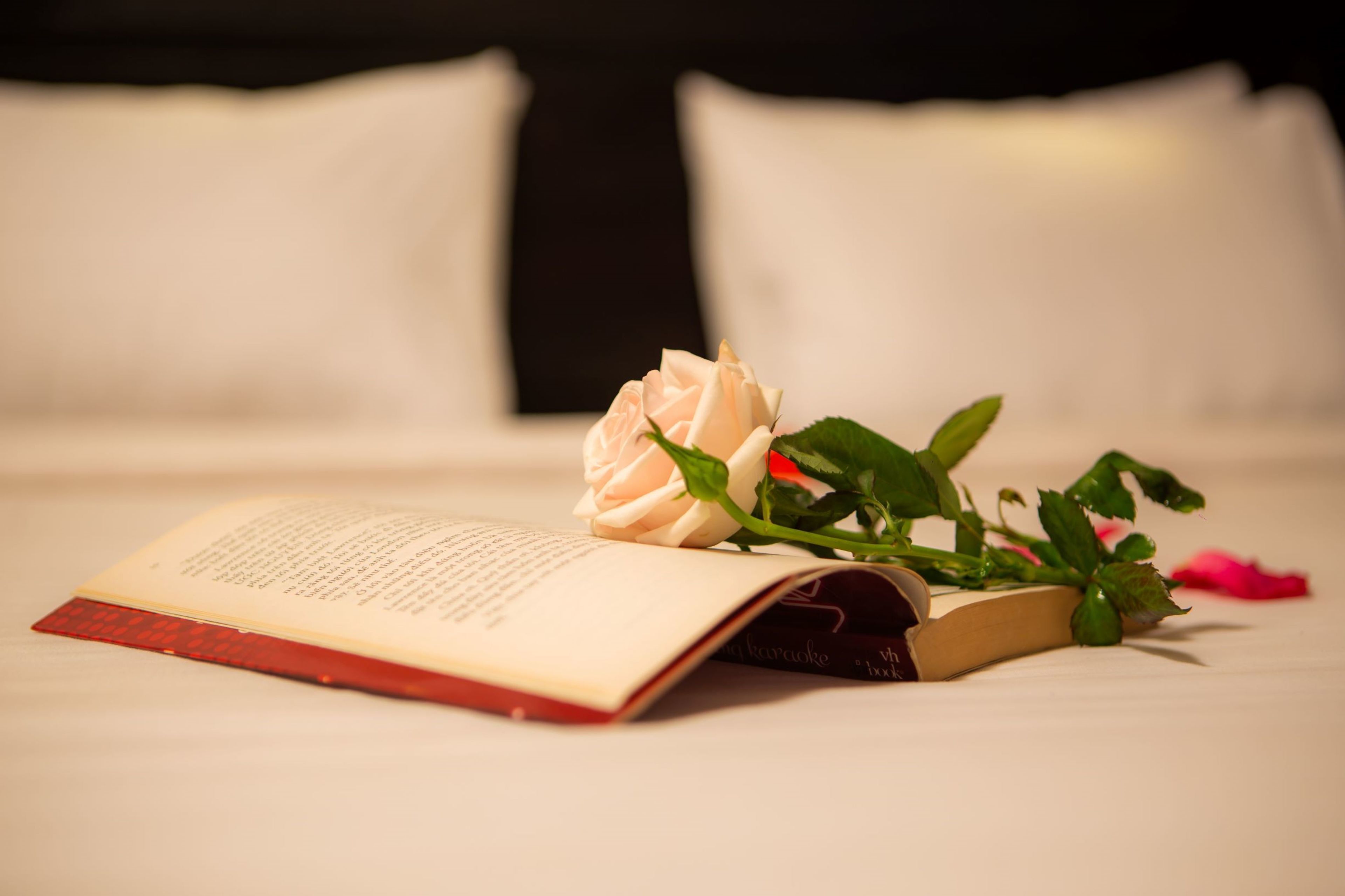 1 bedroom, premium bedding, minibar, in-room safe